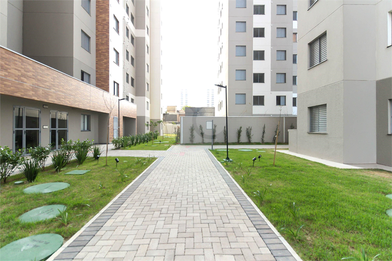 Foto REO1091172