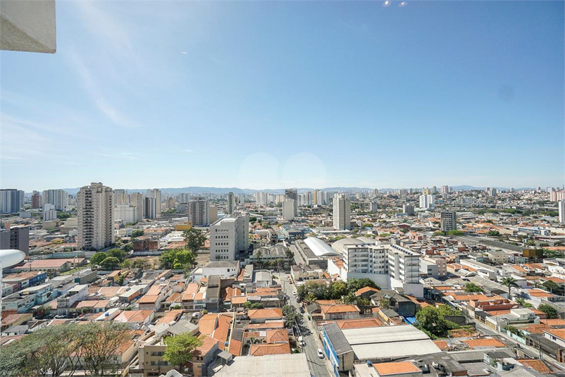 Foto REO1091186