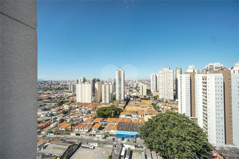 Foto REO1091186