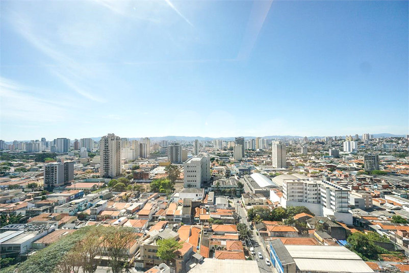 Foto REO1091186