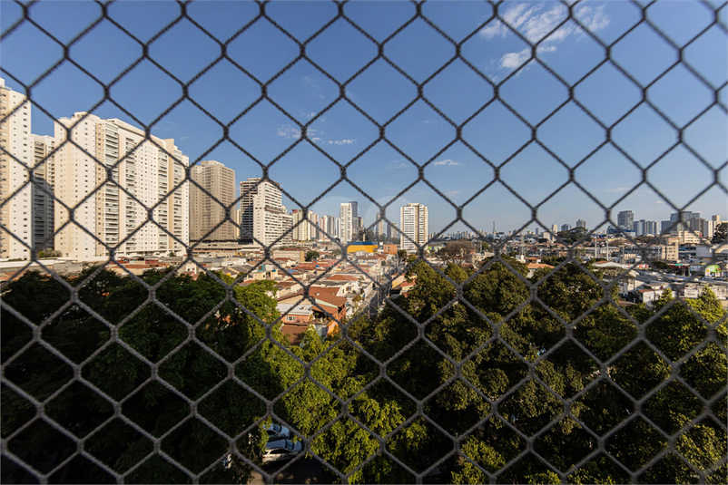 Foto REO1091336