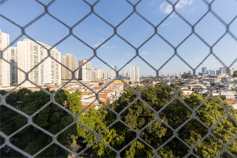Foto REO1091336