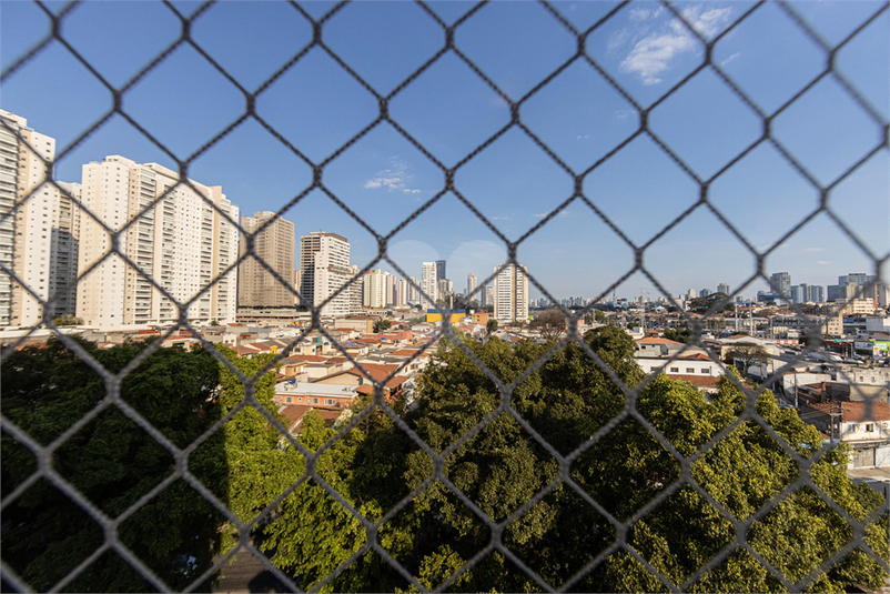 Foto REO1091336