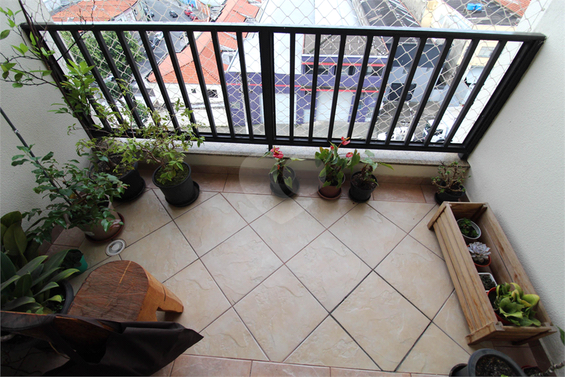 Foto REO1091363