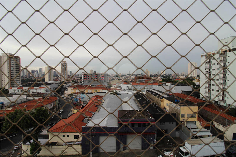 Foto REO1091363