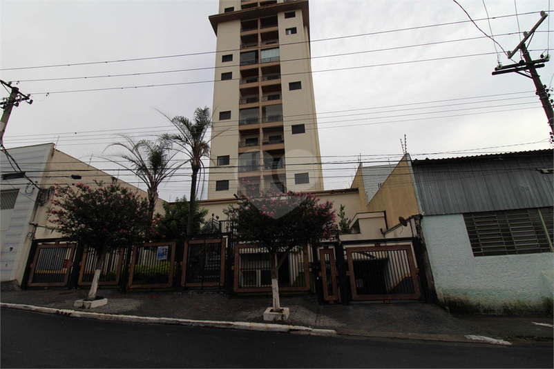 Foto REO1091363