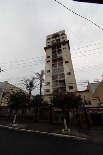 Foto REO1091363
