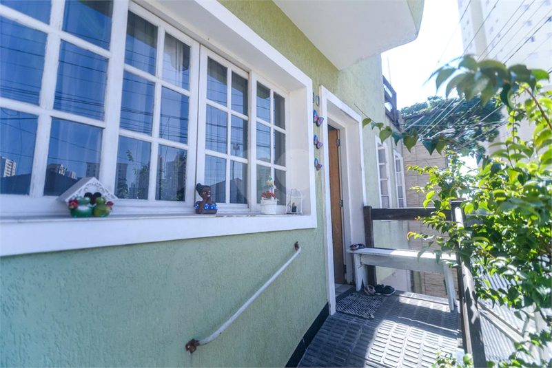 Foto REO1091366