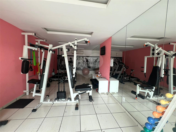 Foto REO1091372