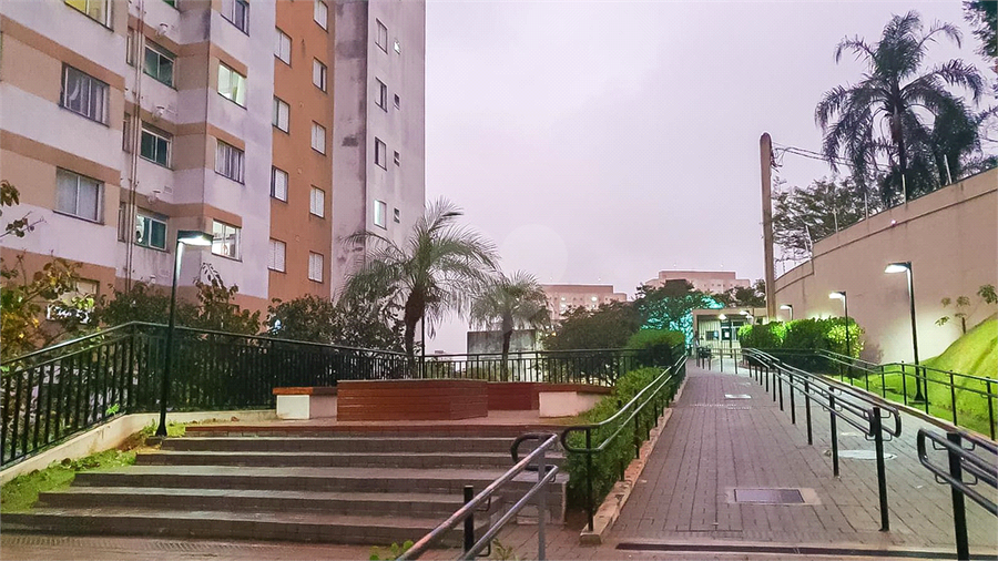 Foto REO1091430
