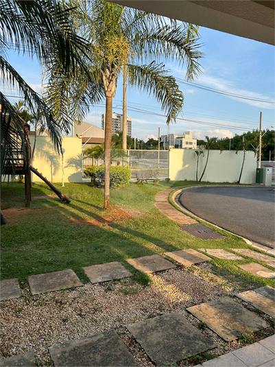 Foto REO1091461