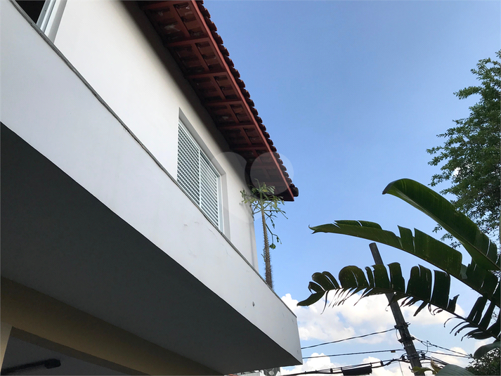 Foto REO1091525