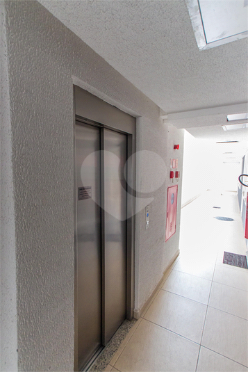 Foto REO1091528