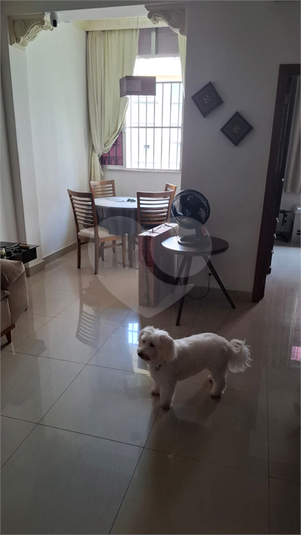 Foto REO1091668
