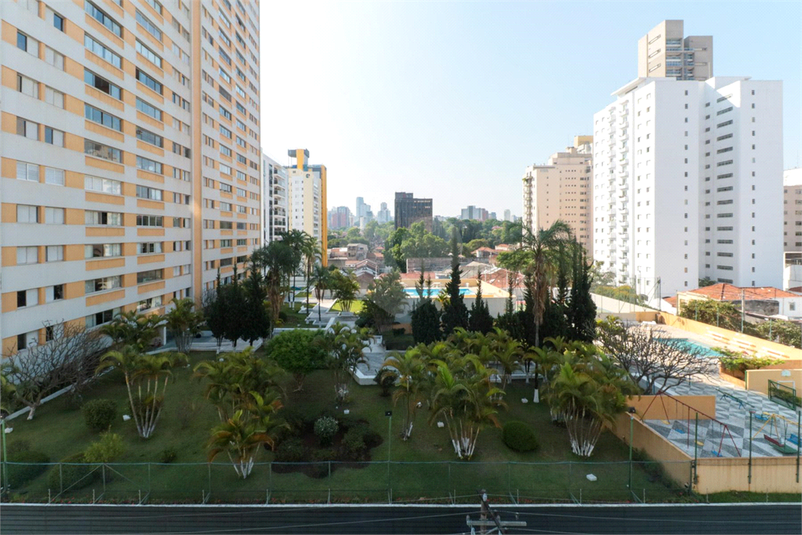 Foto REO1091856