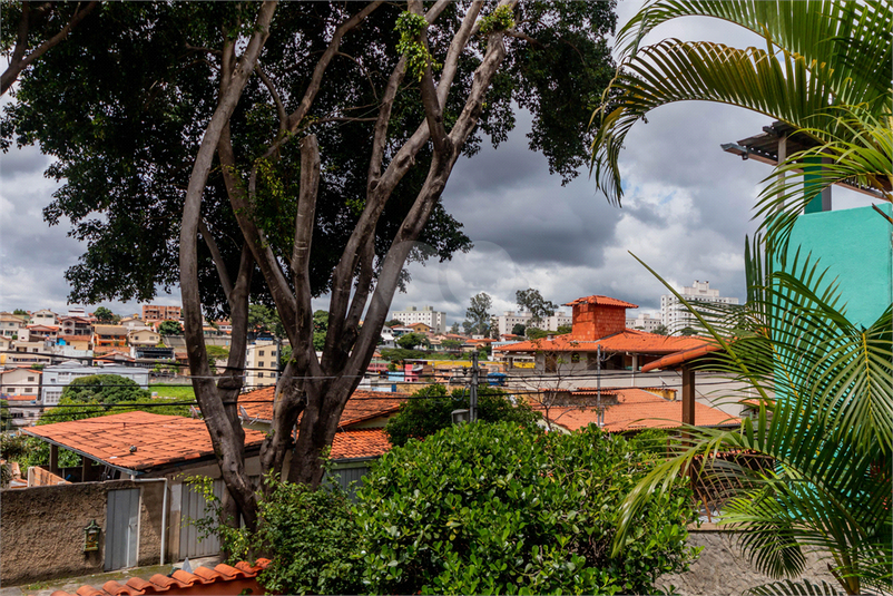 Foto REO1091879