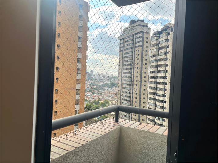 Foto REO1091912