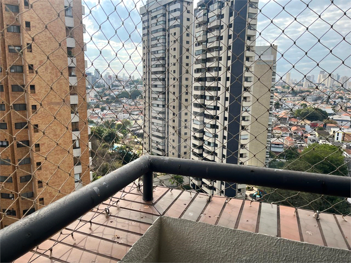 Foto REO1091912