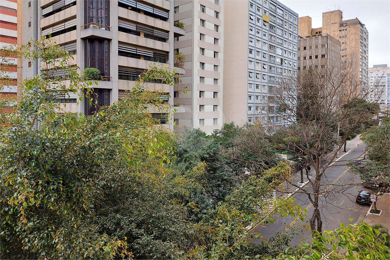 Foto REO1091921