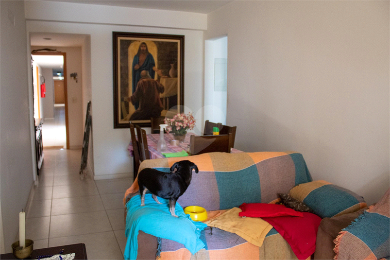 Foto REO1091923