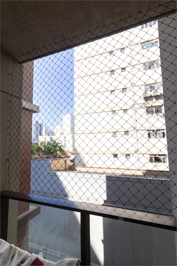 Foto REO1091924