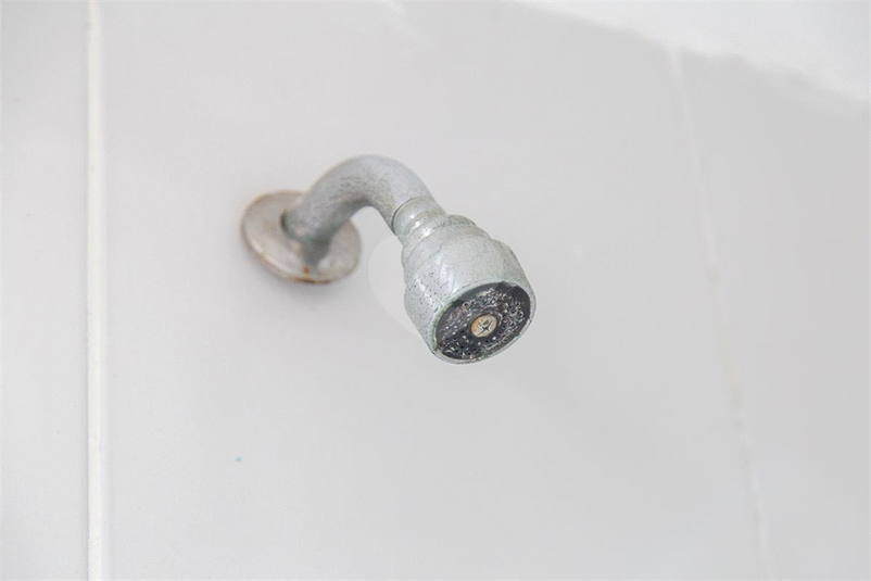 Foto REO1091938