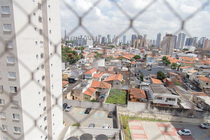 Foto REO1091938