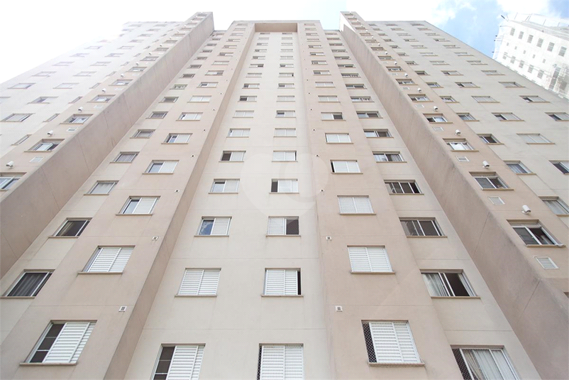 Foto REO1091938
