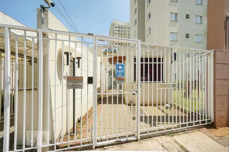 Foto REO1091940