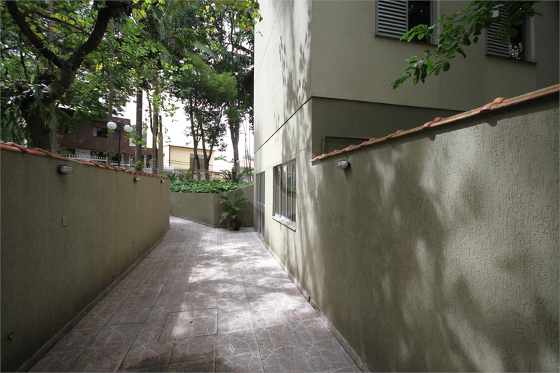 Foto REO1091954