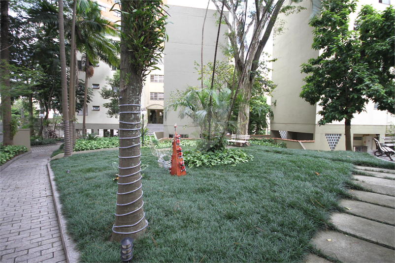 Foto REO1091954