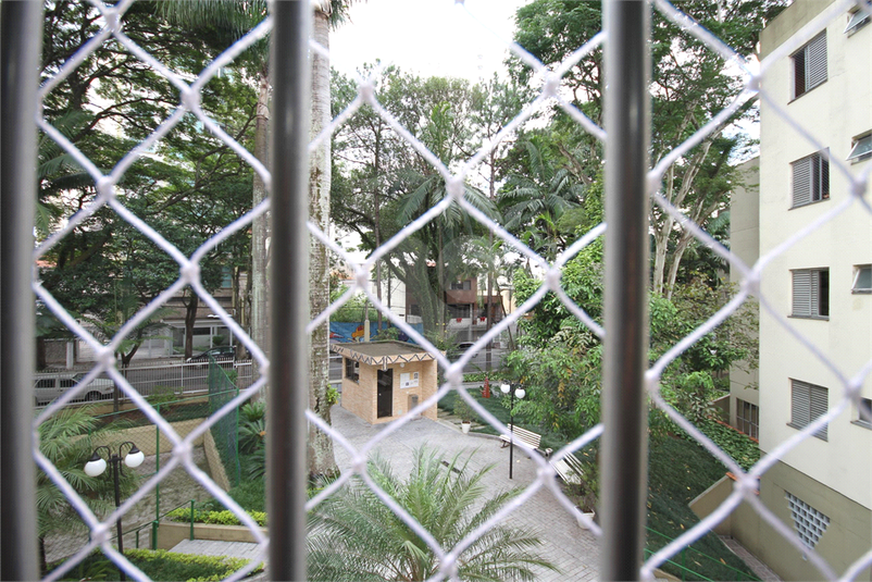 Foto REO1091954