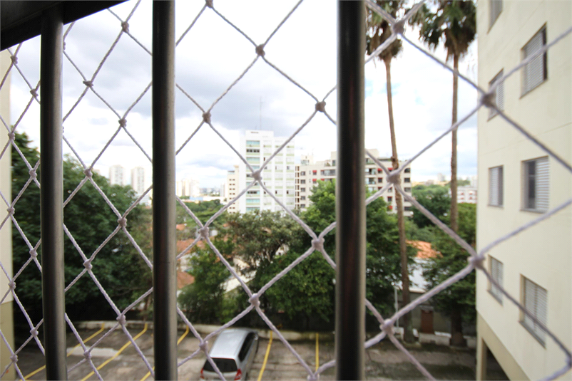 Foto REO1091954