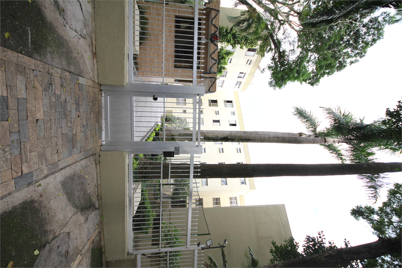 Foto REO1091954