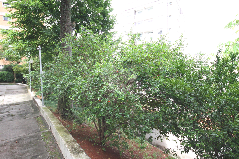 Foto REO1091954