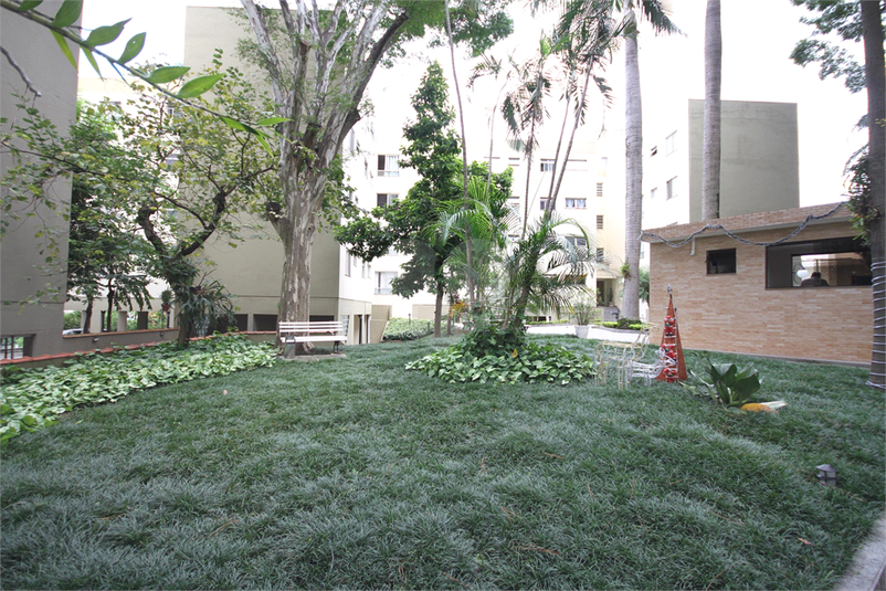 Foto REO1091954