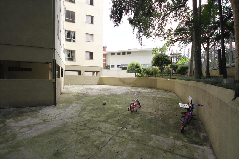 Foto REO1091954