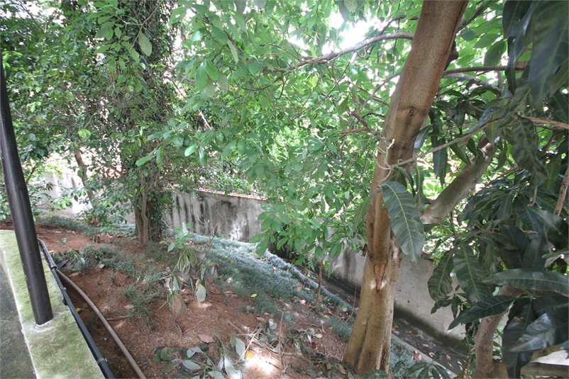 Foto REO1091954