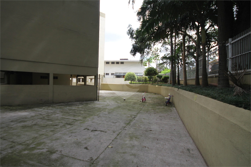 Foto REO1091954