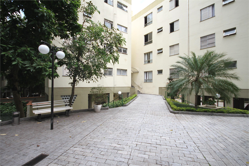 Foto REO1091954