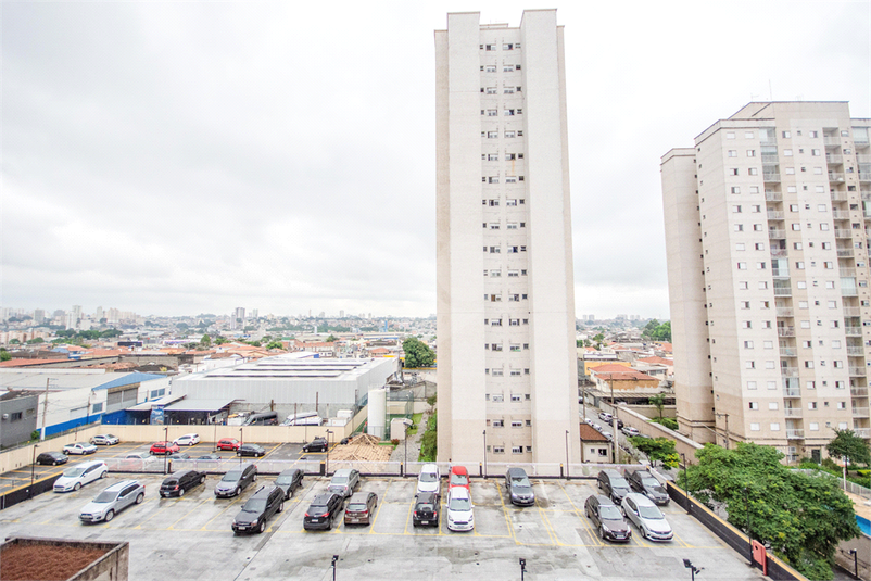 Foto REO1091957