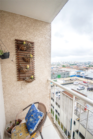 Foto REO1091957