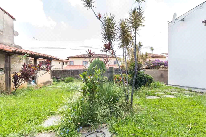 Foto REO1091981