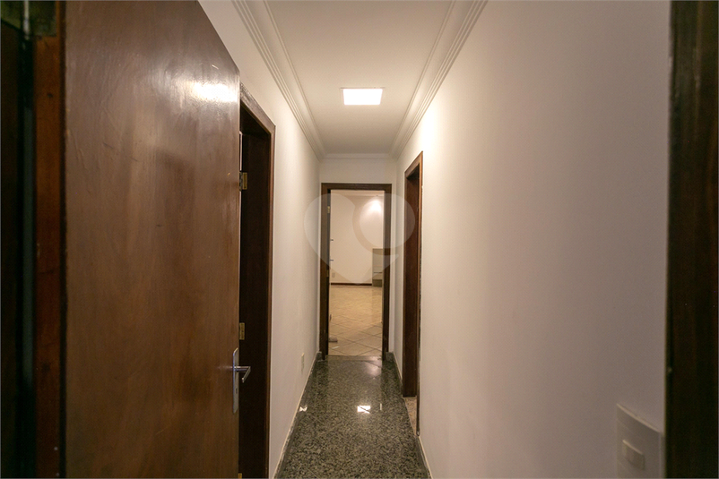 Foto REO1091986