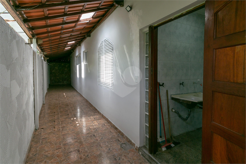 Foto REO1091986
