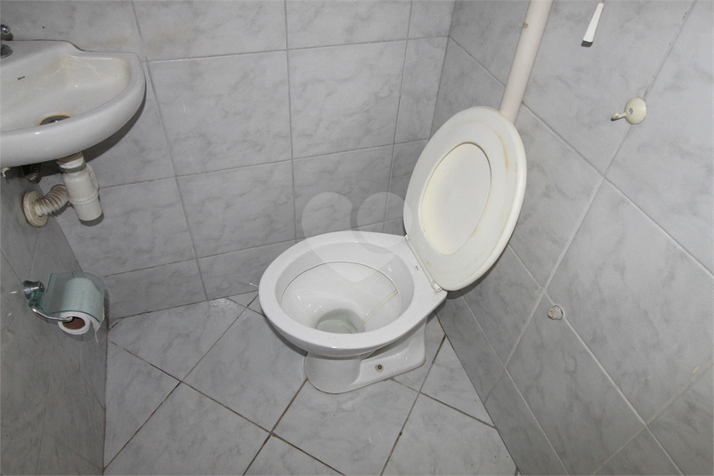Foto REO1091989