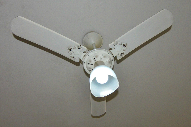 Foto REO1092006