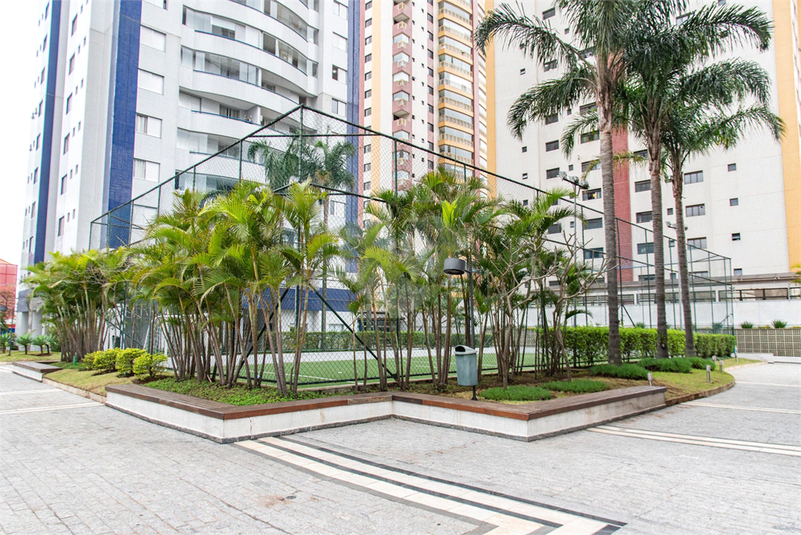 Foto REO1092088