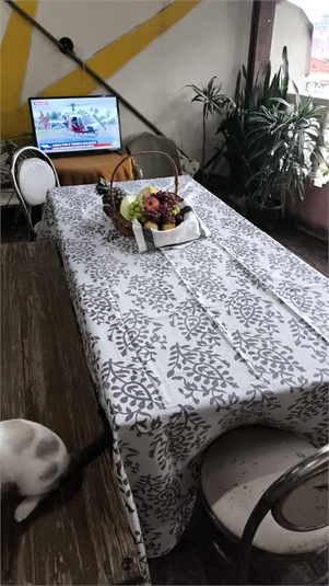 Foto REO1092218
