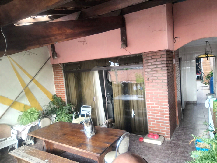 Foto REO1092218